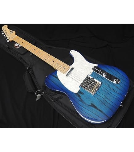 Amazon | FUJIGEN Neo Classic SERIES NTE100MAHT-WB/01 エレキギター